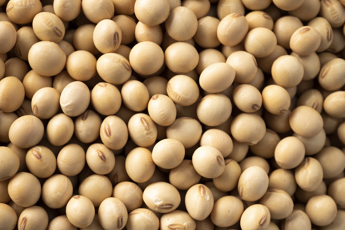 Μάθε τα πάντα για το γάλα σόγιας