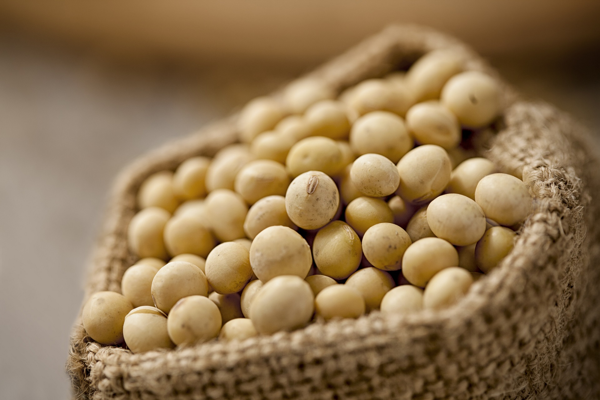 Να φάω σόγια;