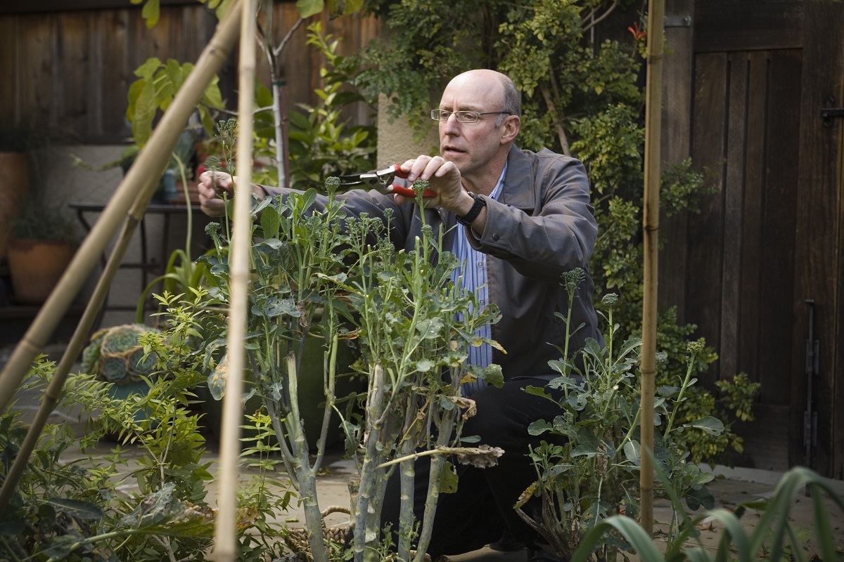 Ποιο είναι το «ιδανικό φαγητό» σύμφωνα με έναν διάσημο ειδικών τροφίμων