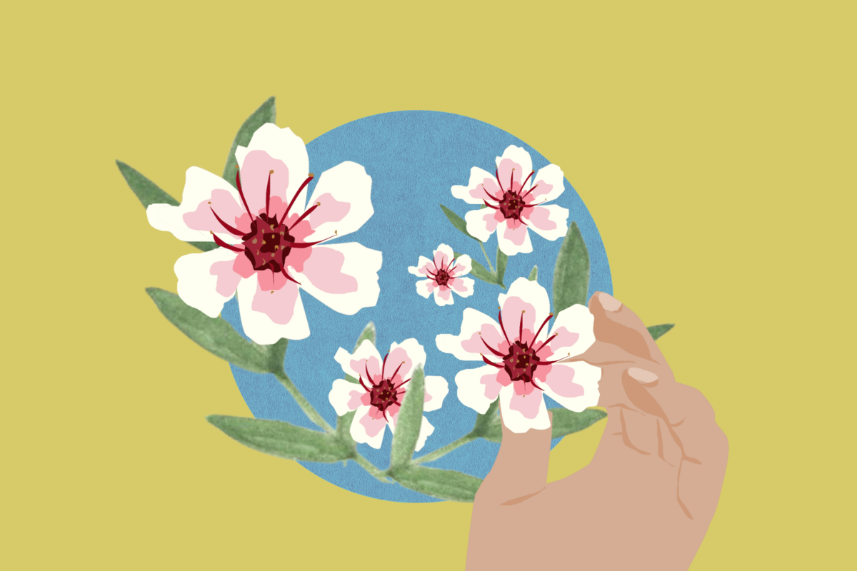 μικρές χαρές