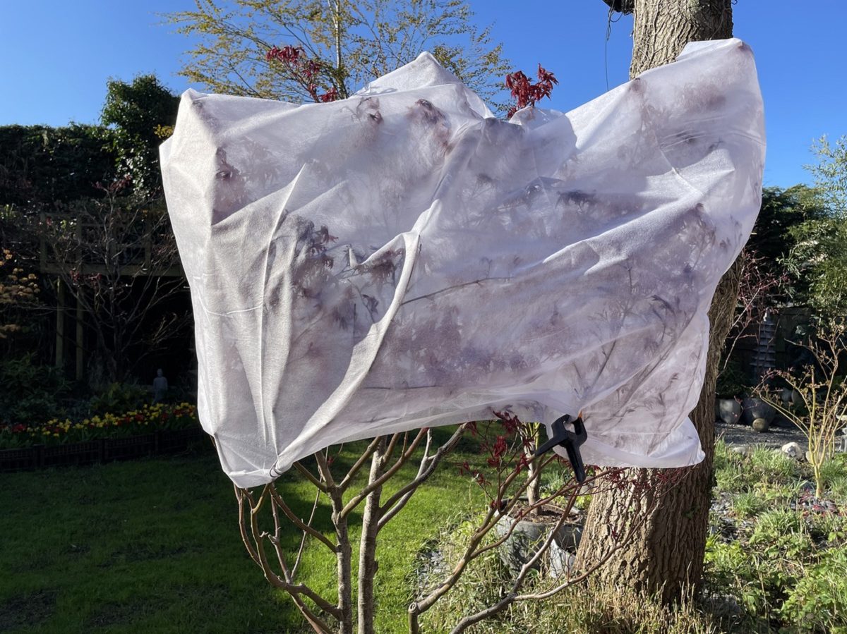 Χρήσιμα tips για να προετοιμάσεις τα φυτά σου για τον χειμώνα