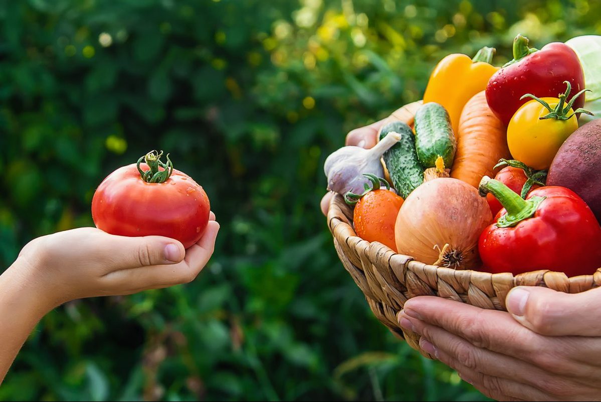Πώς εκπαίδευσα τον προέφηβο γιο μου να τρώει σωστά