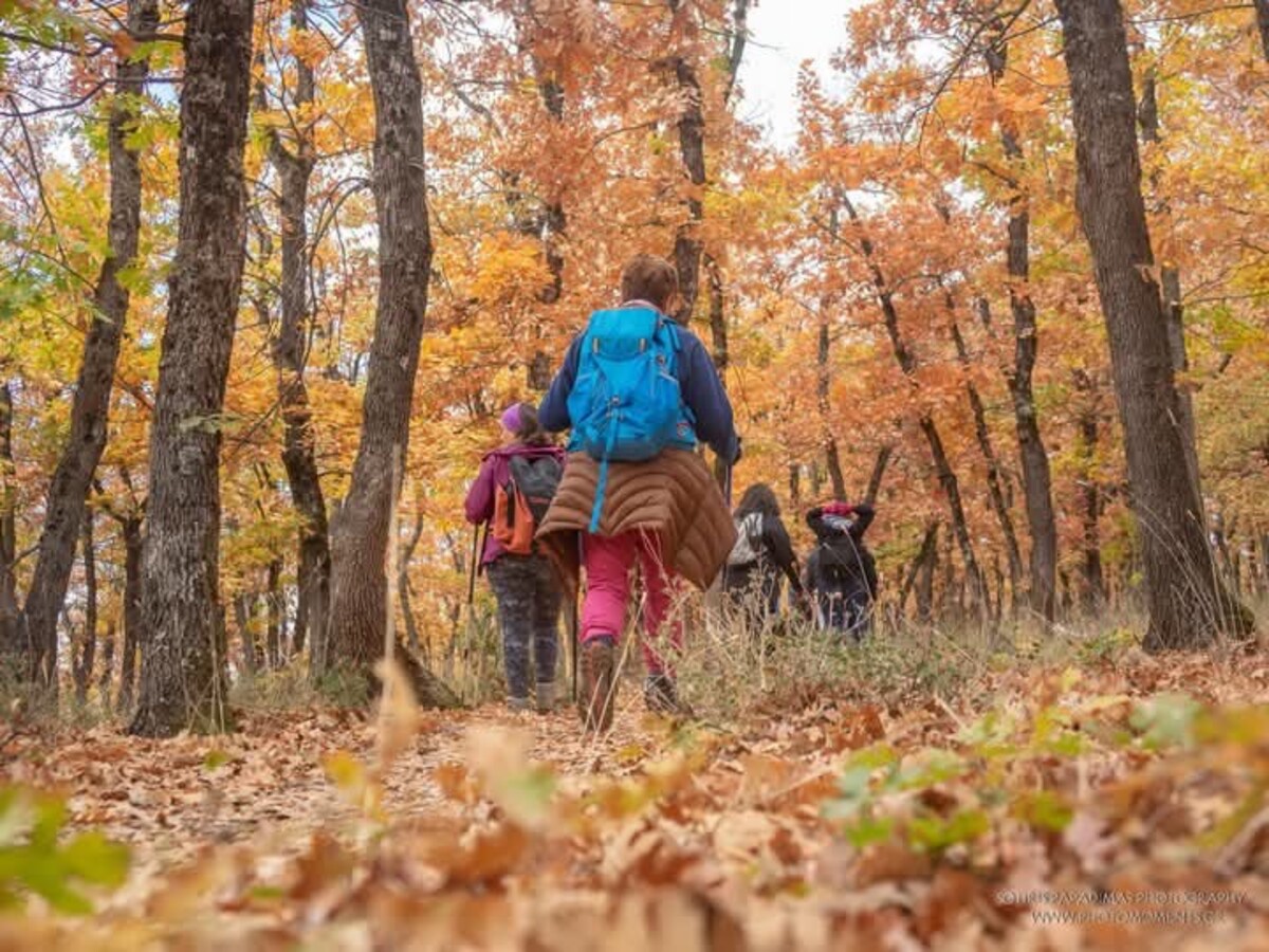 δώρα εμπειρίας