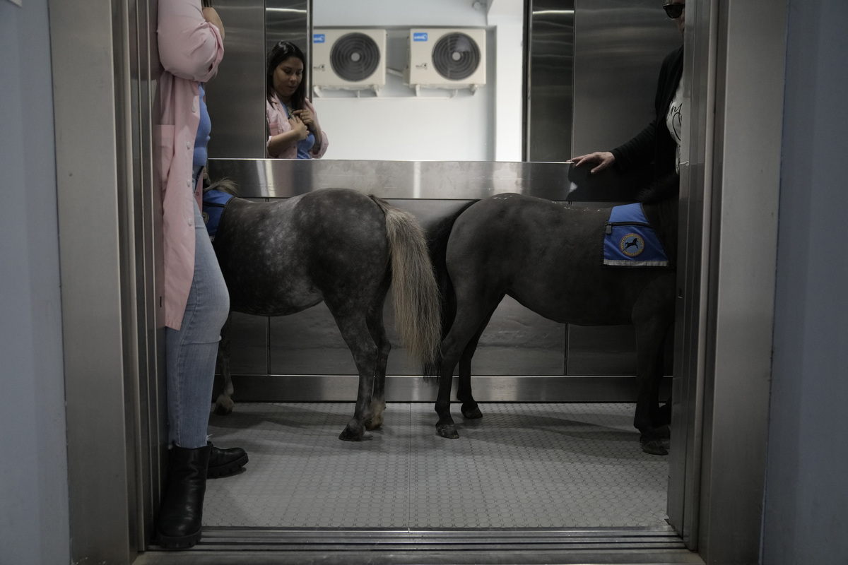 Θεραπευτικά αλογάκια