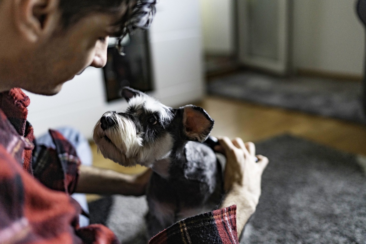 Τι πρέπει να ξέρεις για τις ράτσες σκυλιών αν έχεις αλλεργία