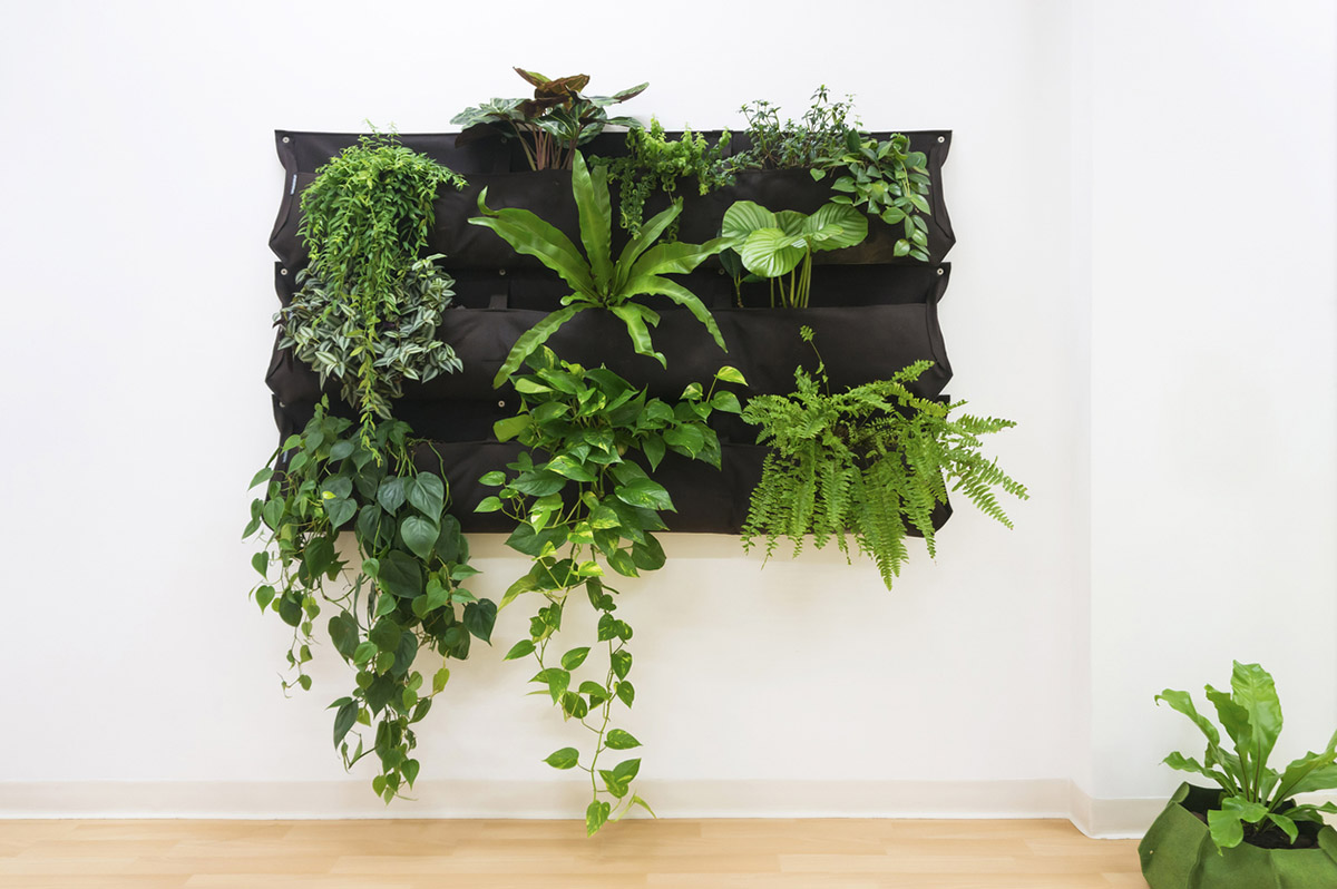 κάθετος κήπος