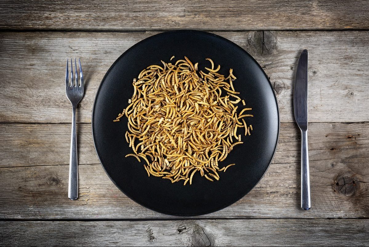 Βρώσιμα έντομα