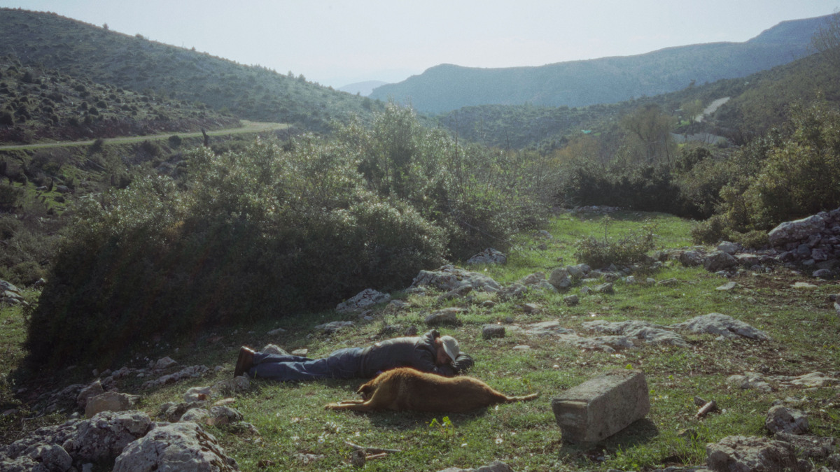 ντοκιμαντέρ