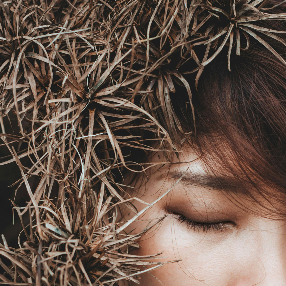 Δίλημμα σκαντζόχοιρου