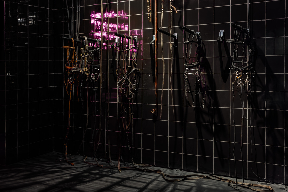 ΕΜΣΤ: 4 συναρπαστικές νέες εκθέσεις που επαναπροσδιορίζουν τη θέση μας στη γη