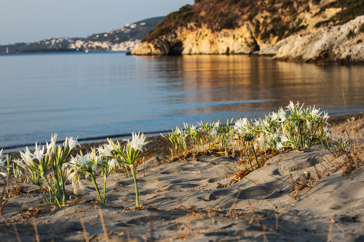 θαλάσσιο περιβάλλον