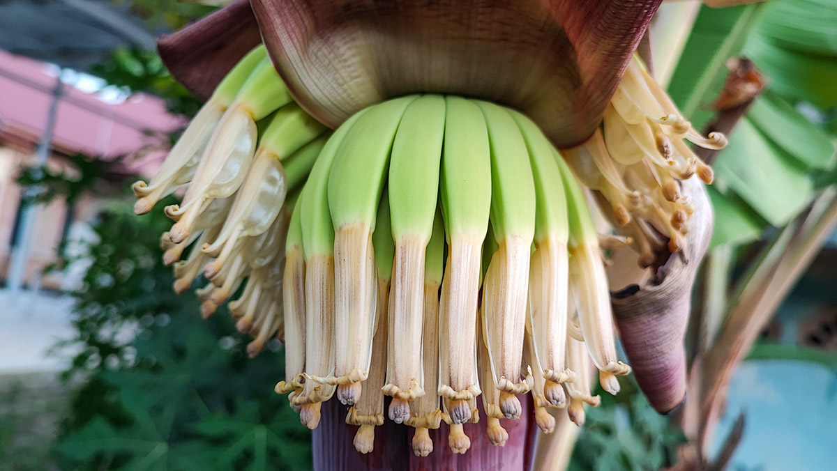 Παλιές τροφές