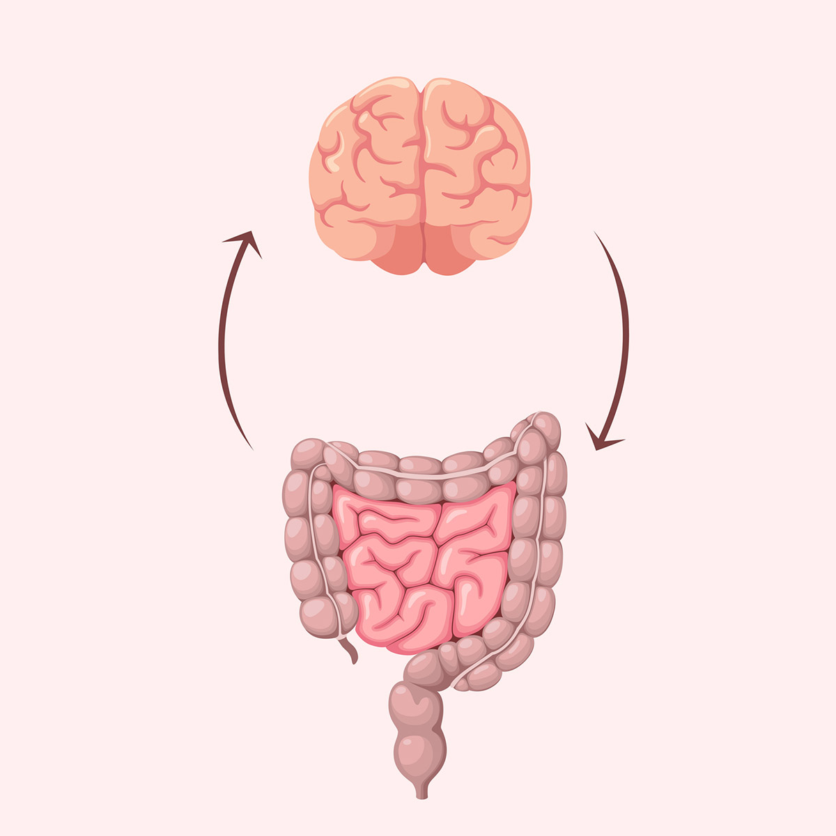 Ήξερες τι κάνει το ευερέθιστο έντερο στον εγκέφαλό σου;