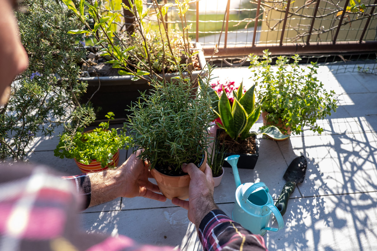 Άνοιξη και φυτά