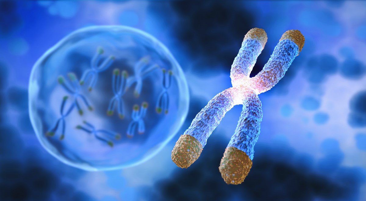 Αποκαλύφθηκαν τα βιολογικά μυστικά της γυναίκας που πέθανε στα 117