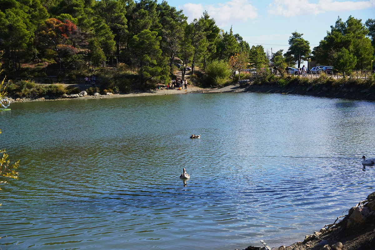 14 γνωστά και άγνωστα πάρκα για να πιάσεις τον Μάη