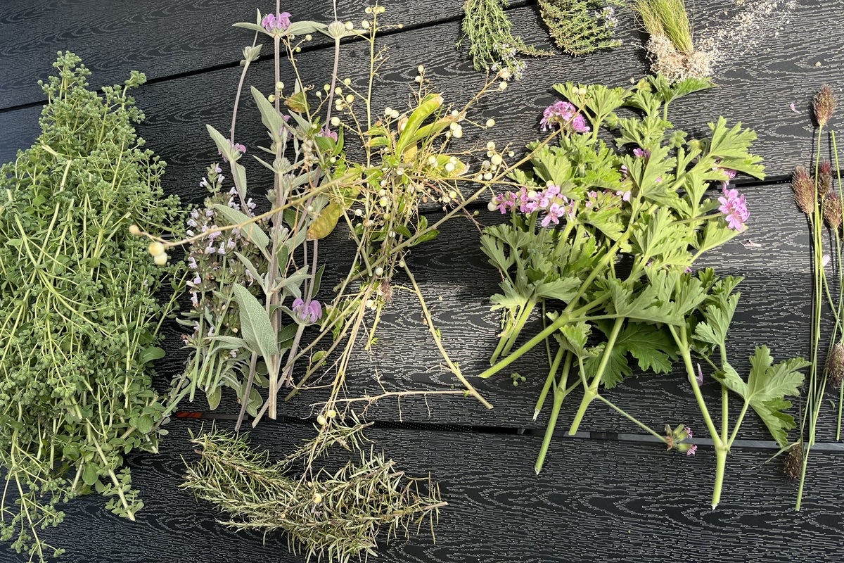 αγριολούλουδα