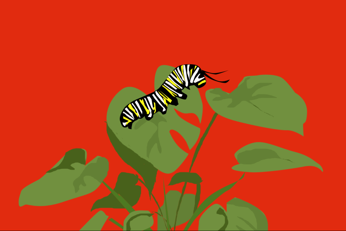 Να αποφεύγεις