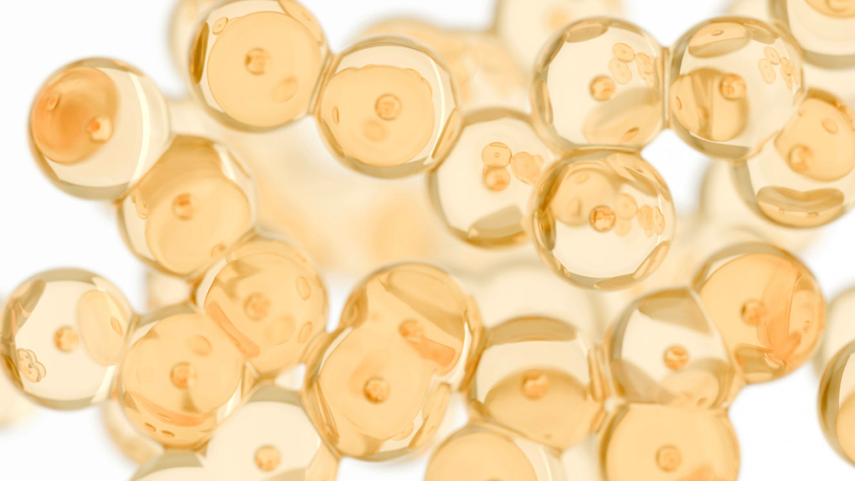 λιποκύτταρα