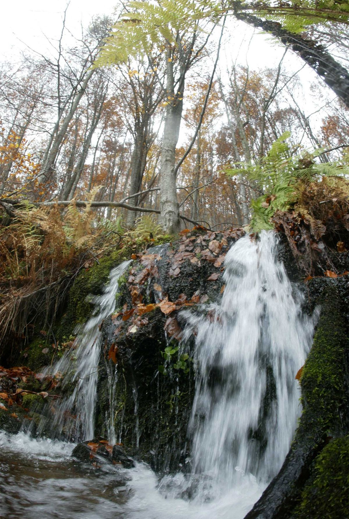 10 Εθνικά Πάρκα ανά τον κόσμο που πρέπει κάποτε να δεις