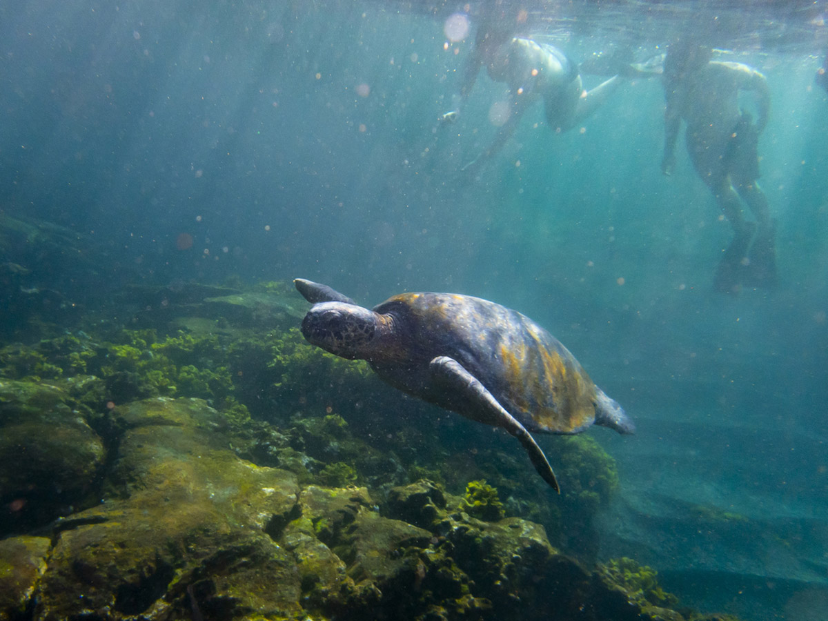 10 Εθνικά Πάρκα ανά τον κόσμο που πρέπει κάποτε να δεις