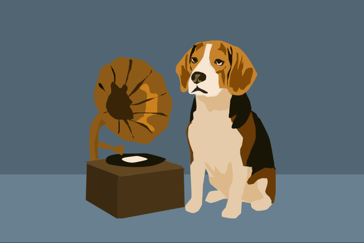 Σκύλος και θόρυβοι