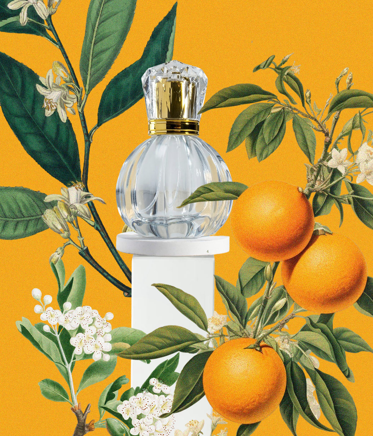 αρώματα με άνθος πορτοκαλιάς 