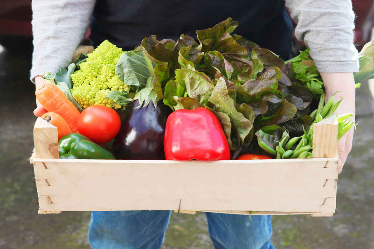Νέες μελέτες δίνουν ελπίδες για τον καρκίνο του παχέος εντέρου