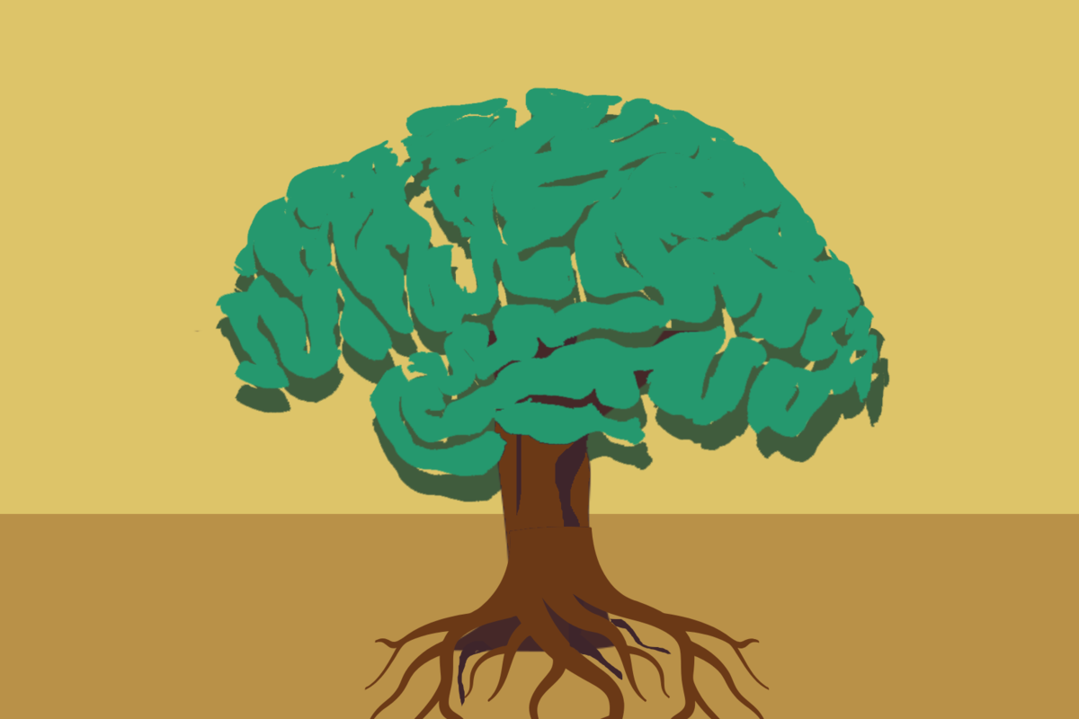 Σε ποια ηλικία φτάνει η ευφυΐα σου στο ζενίθ της;