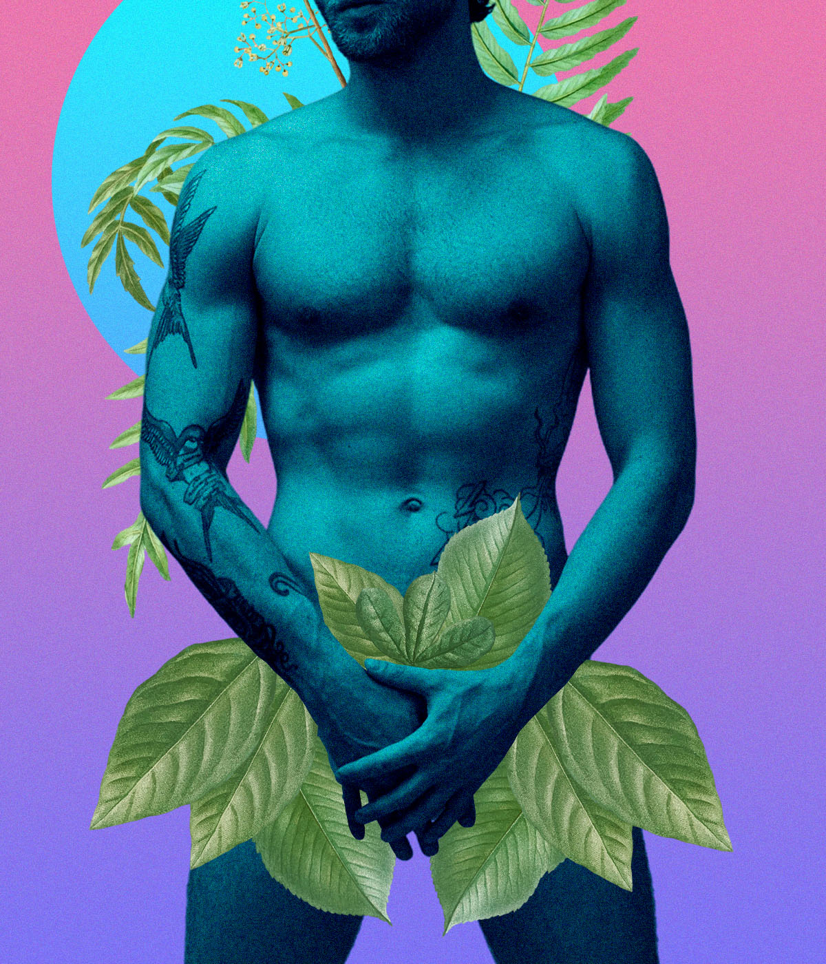 Αποτρίχωση στα ανδρικά γεννητικά όργανα: Ποιες μέθοδοι είναι πιο ασφαλείς