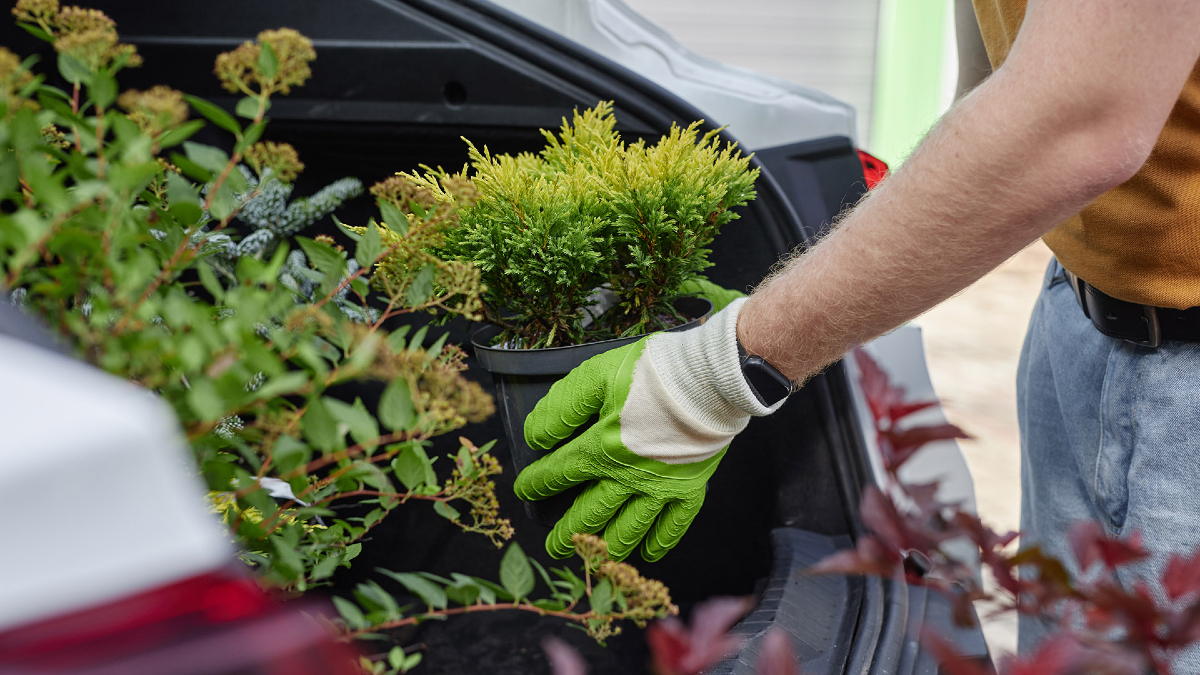 7 πράγματα που δεν αφήνεις ποτέ στο αυτοκίνητο με ζέστη