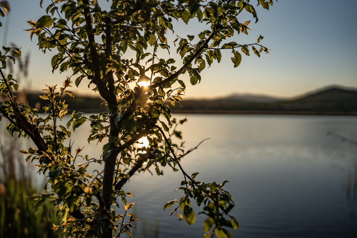 καλοκαίρι reset