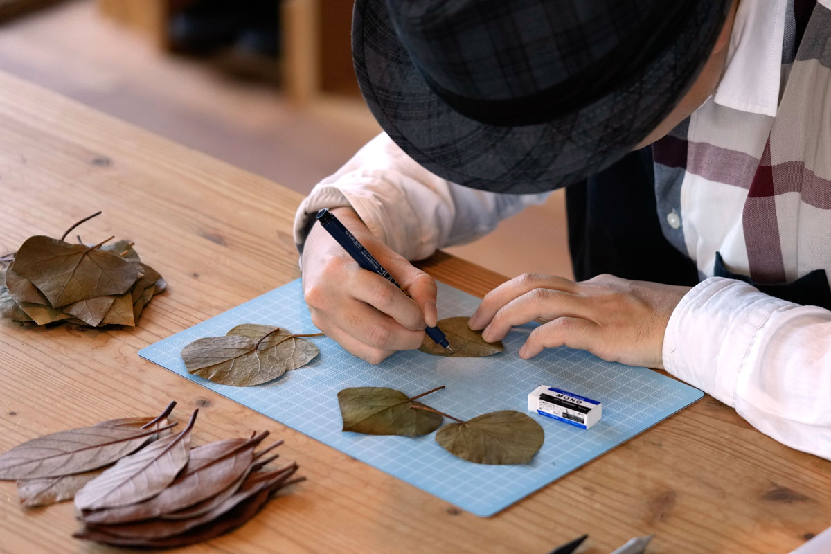 Φύλλα δέντρων