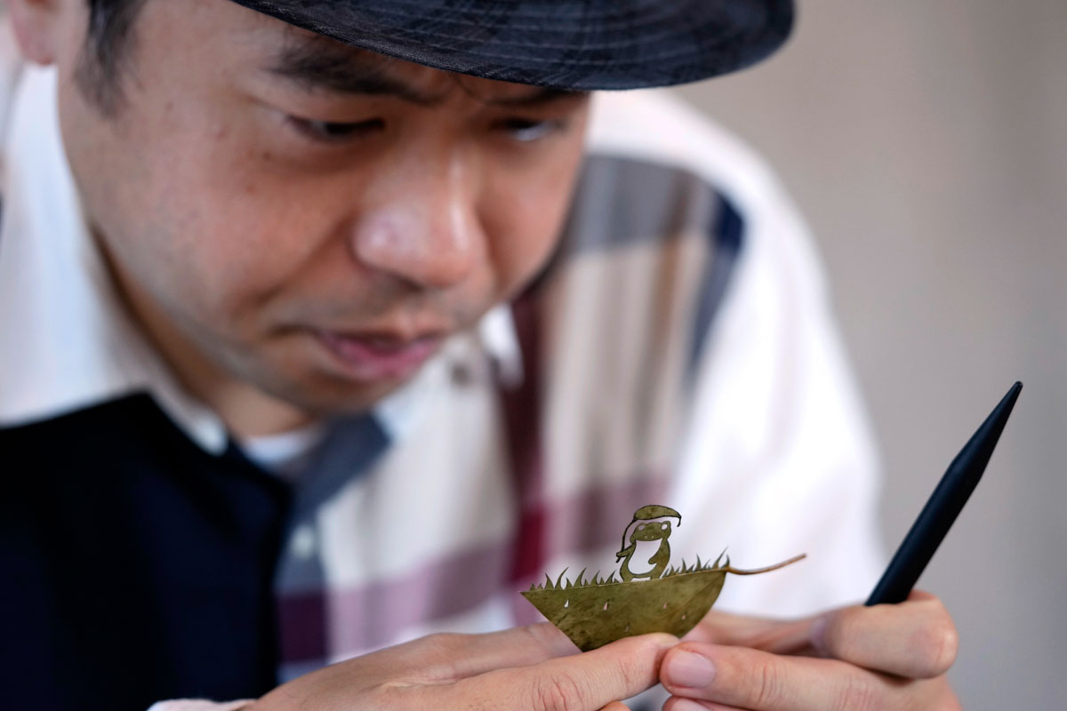 Φύλλα δέντρων