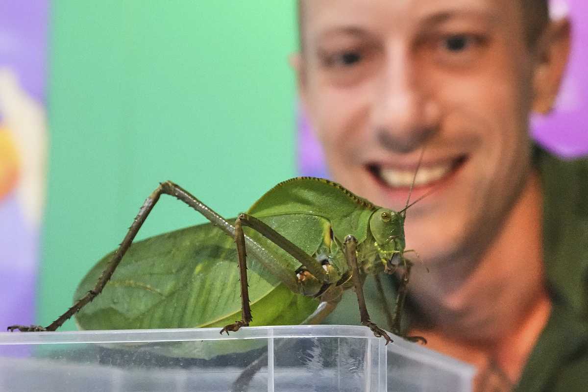 Η στιγμή της αλήθειας: 10.000 ζώα ανεβαίνουν στη ζυγαριά