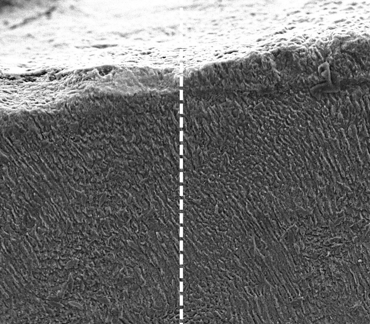 οδοντόκρεμα