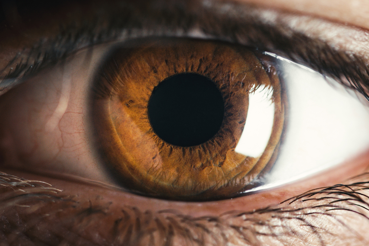 Αναπνοή και όραση: Η έκπληξη που κρύβουν οι κόρες των ματιών