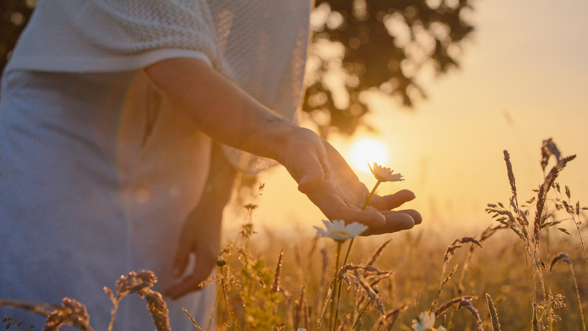 Η φύση ηρεμεί