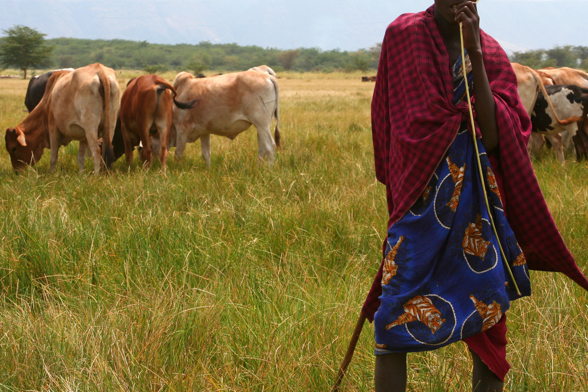 Τι μας διδάσκουν οι αυτόχθονες λαοί για την κλιματική κρίση