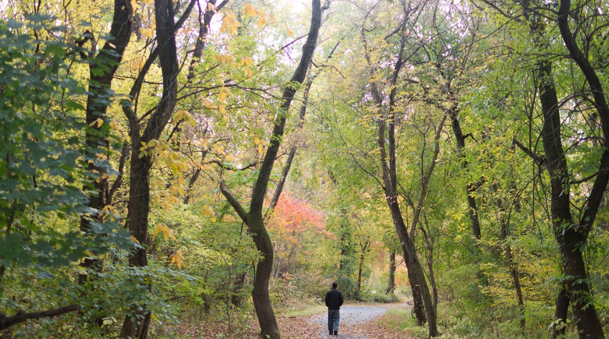 Η φύση ηρεμεί