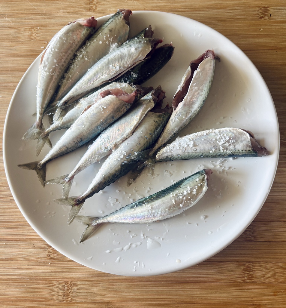 Κολιουδάκια