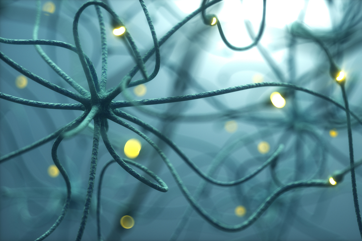 νευρωνικές συσχετίσεις