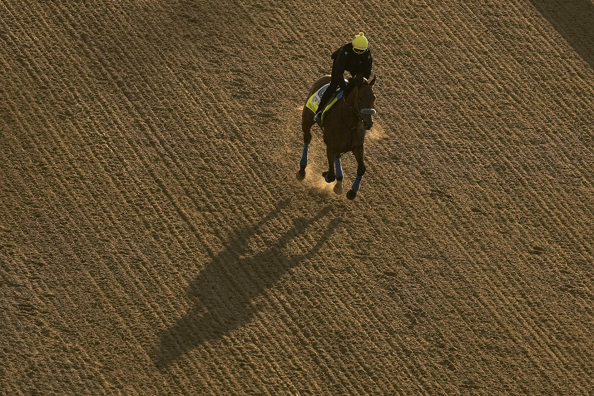 Άλογο κούρσας