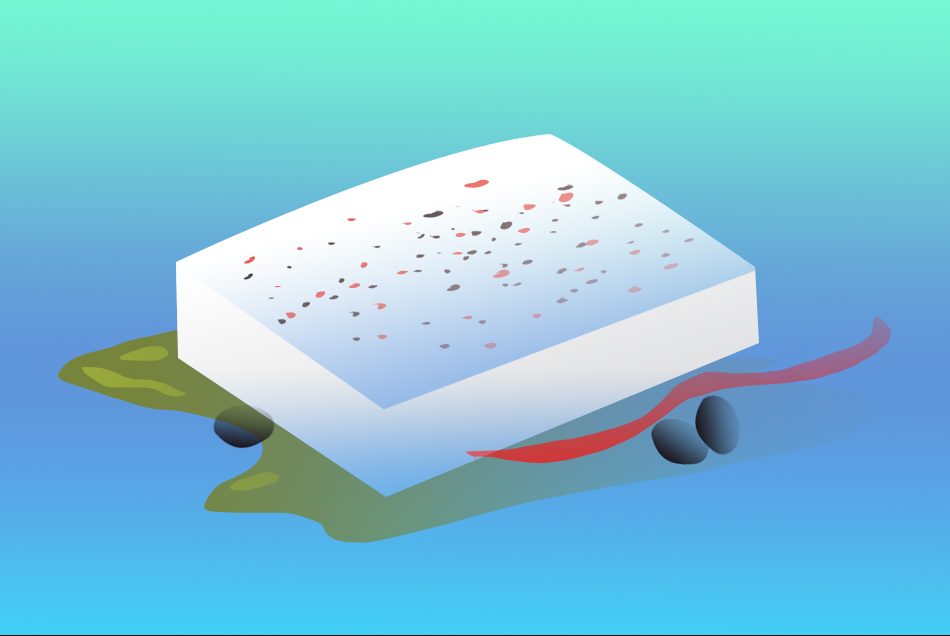 χωριάτικη με ψητή φέτα