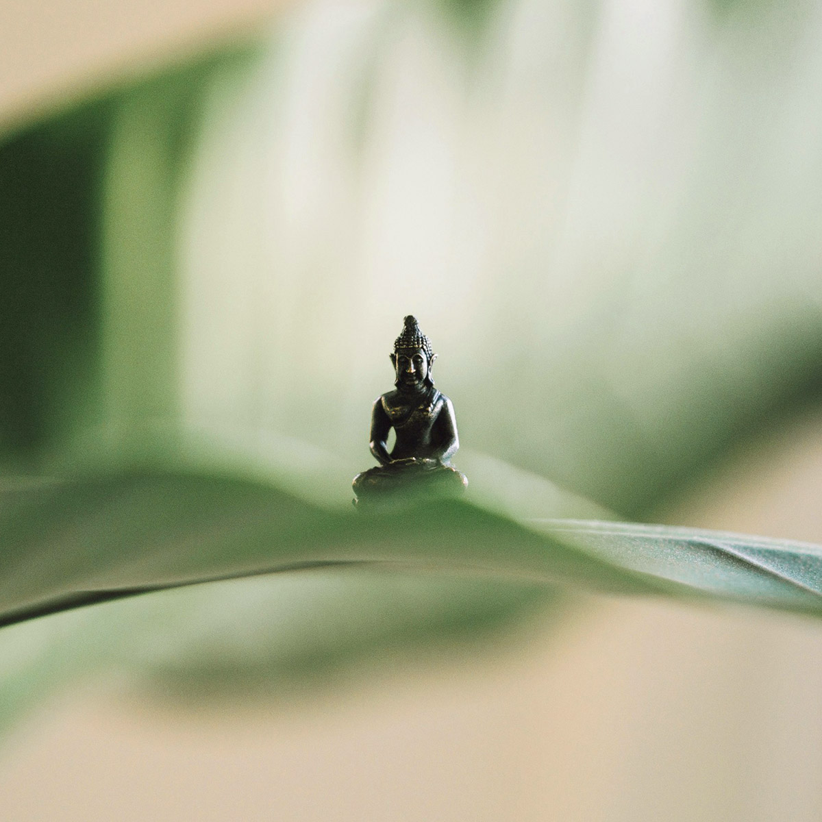 Ξεκαθαρίζοντας 14 συχνές παρανοήσεις για τη γιόγκα