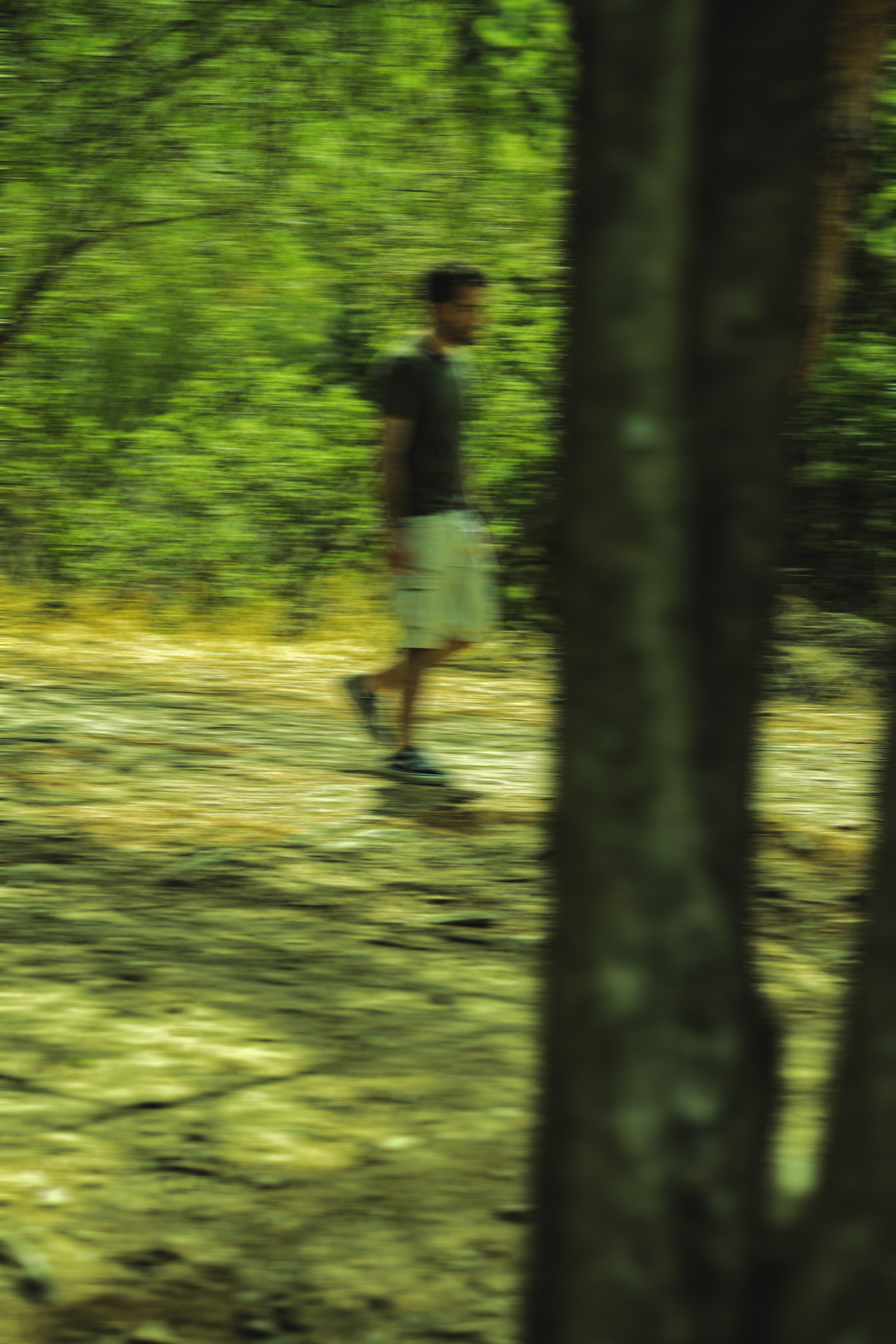 Αλέξανδρος Χρυσανθόπουλος