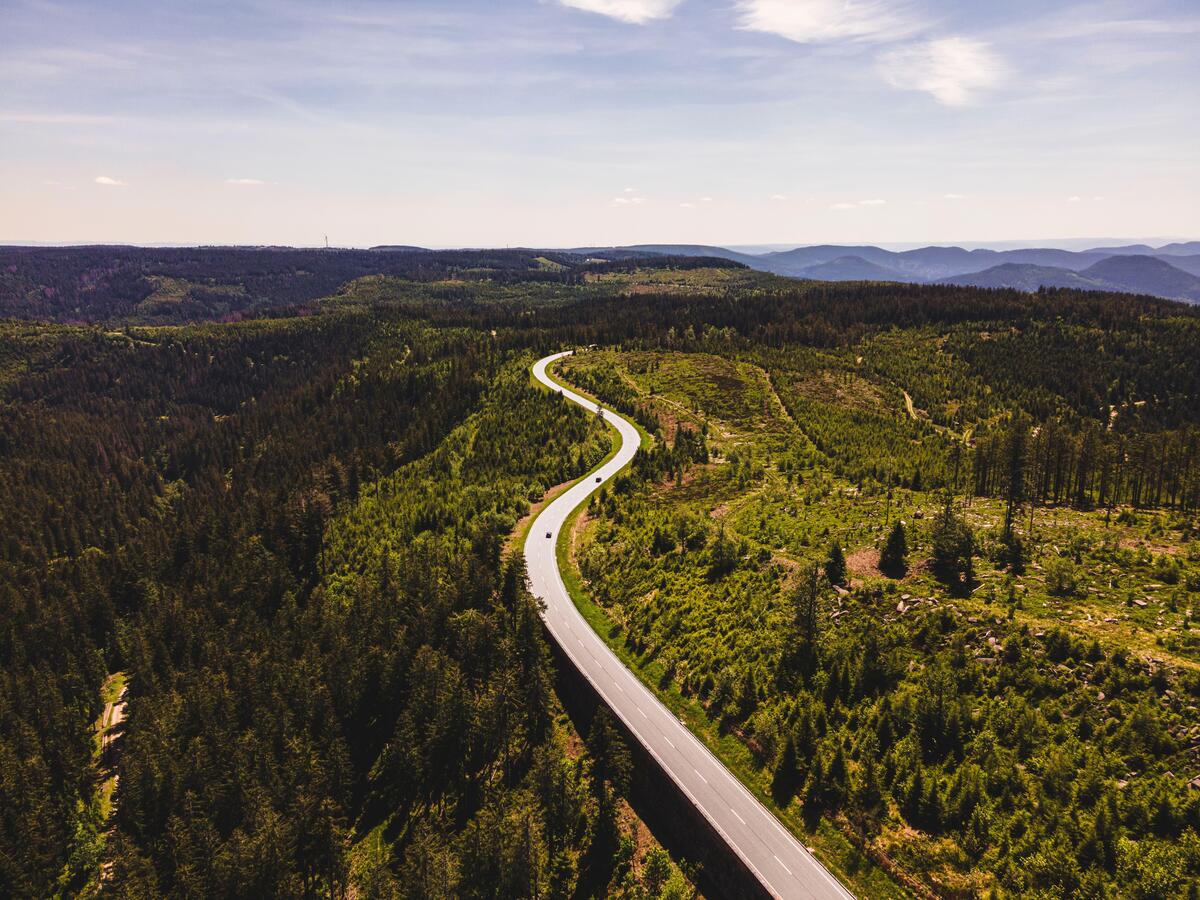 Μέλανας Δρυμός