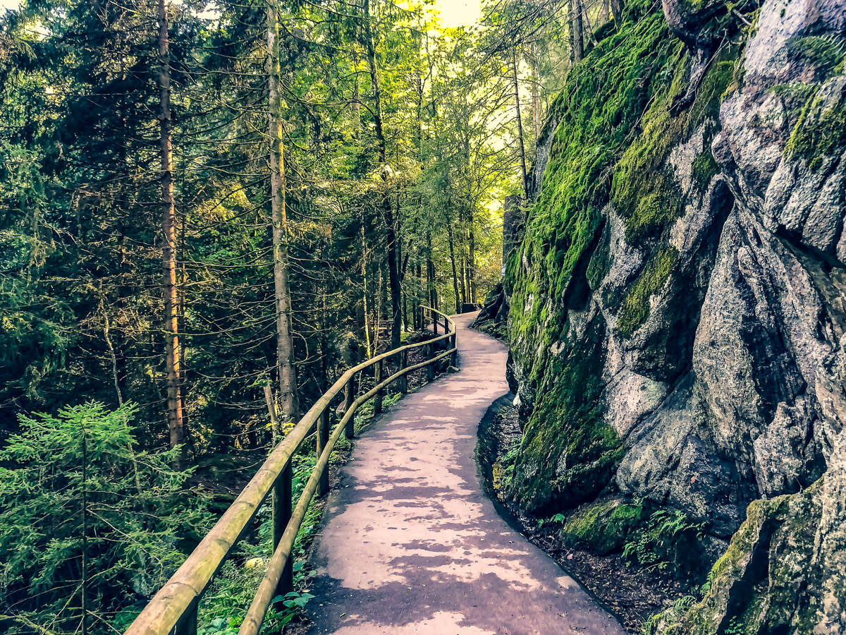 Μέλανας Δρυμός