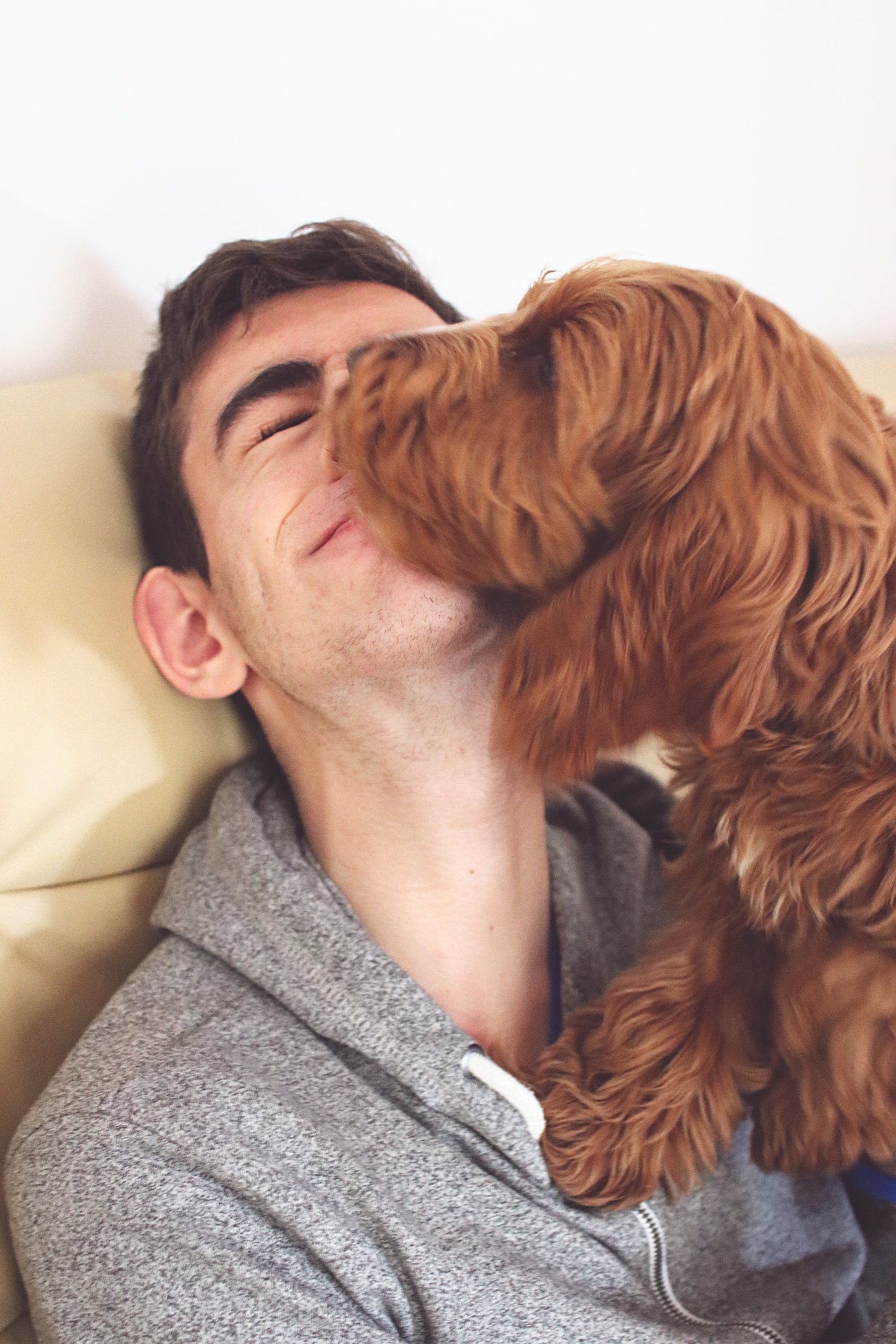 Ξέρεις γιατί σε φιλάει στο στόμα ο σκύλος σου;