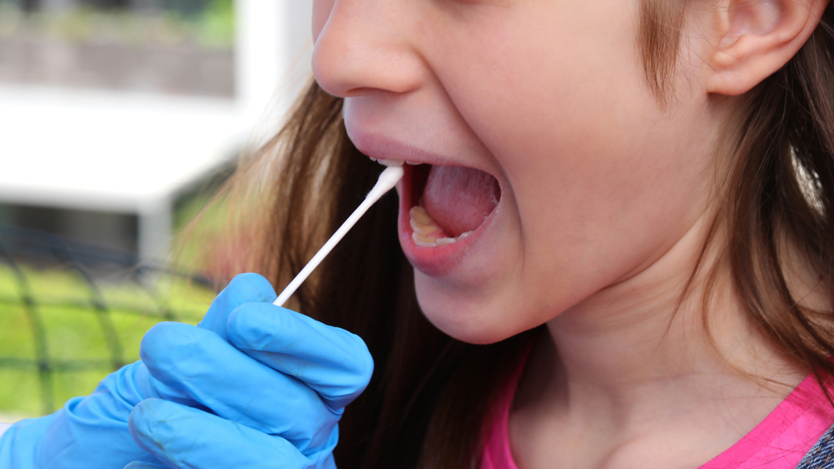 μυελός των οστών 